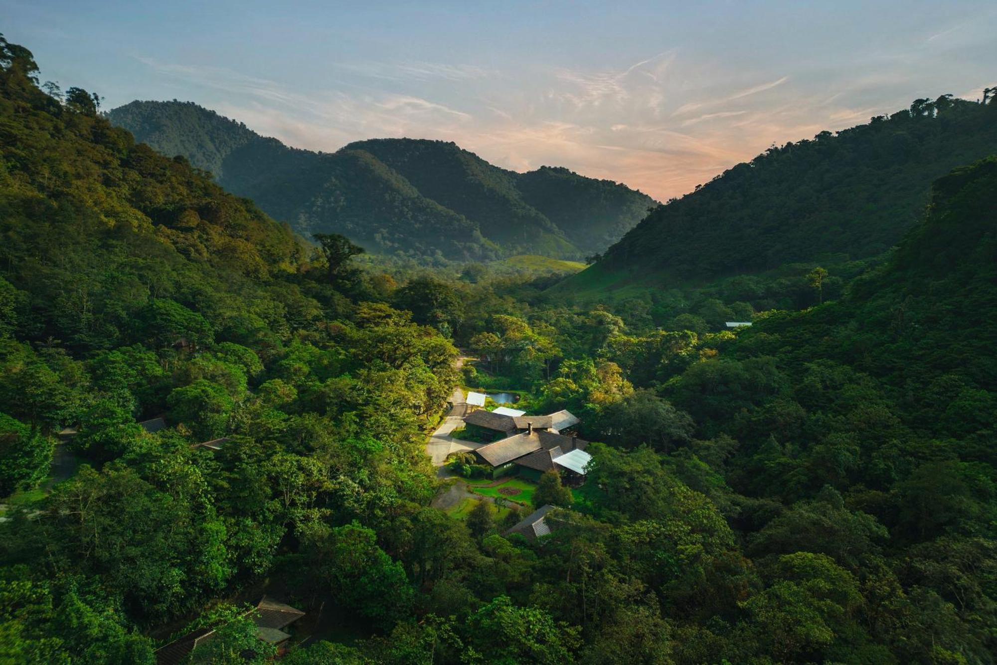 Toro Amarillo El Silencio Lodge & Spa Costa Rica מראה חיצוני תמונה