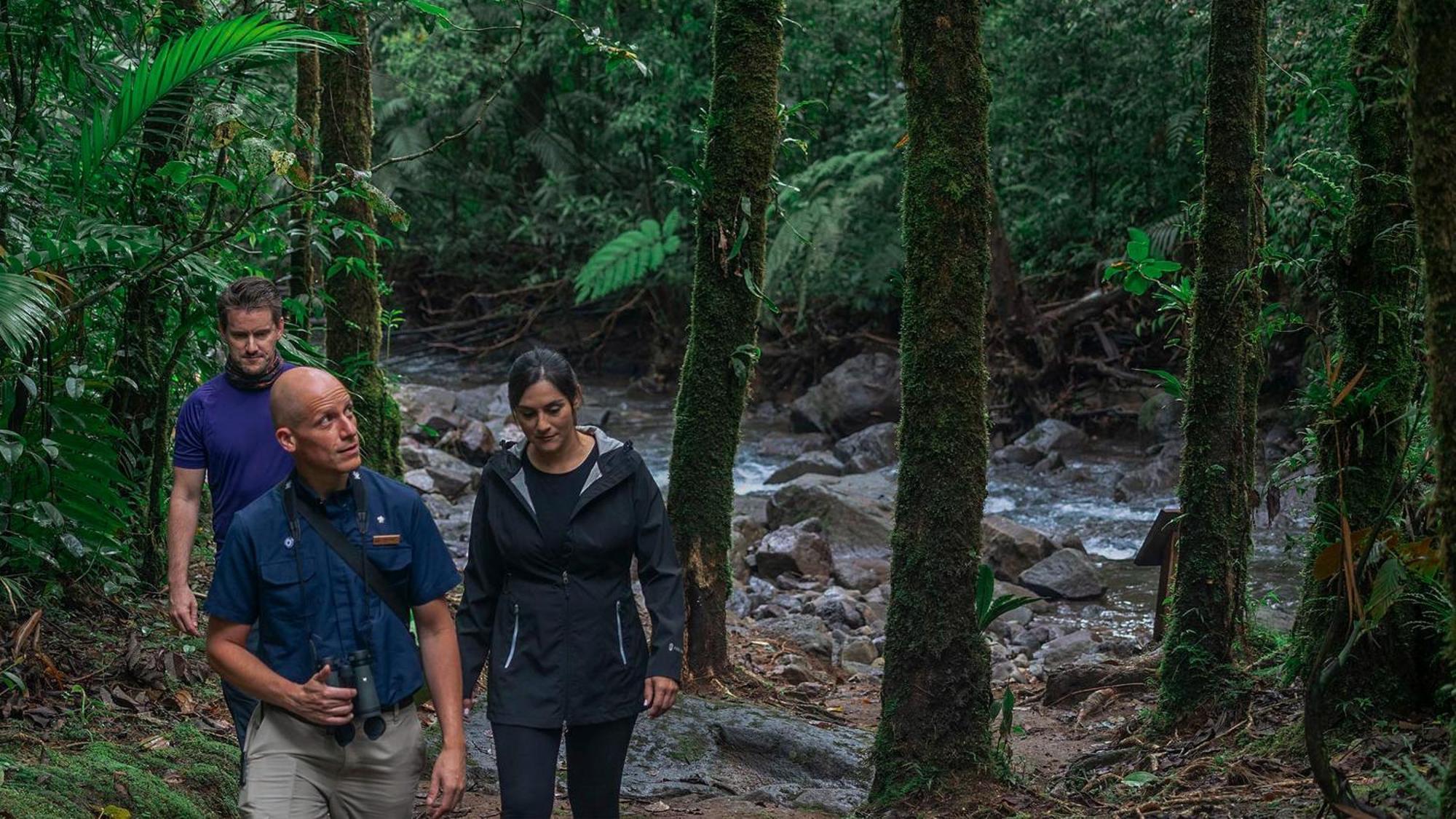 Toro Amarillo El Silencio Lodge & Spa Costa Rica מראה חיצוני תמונה