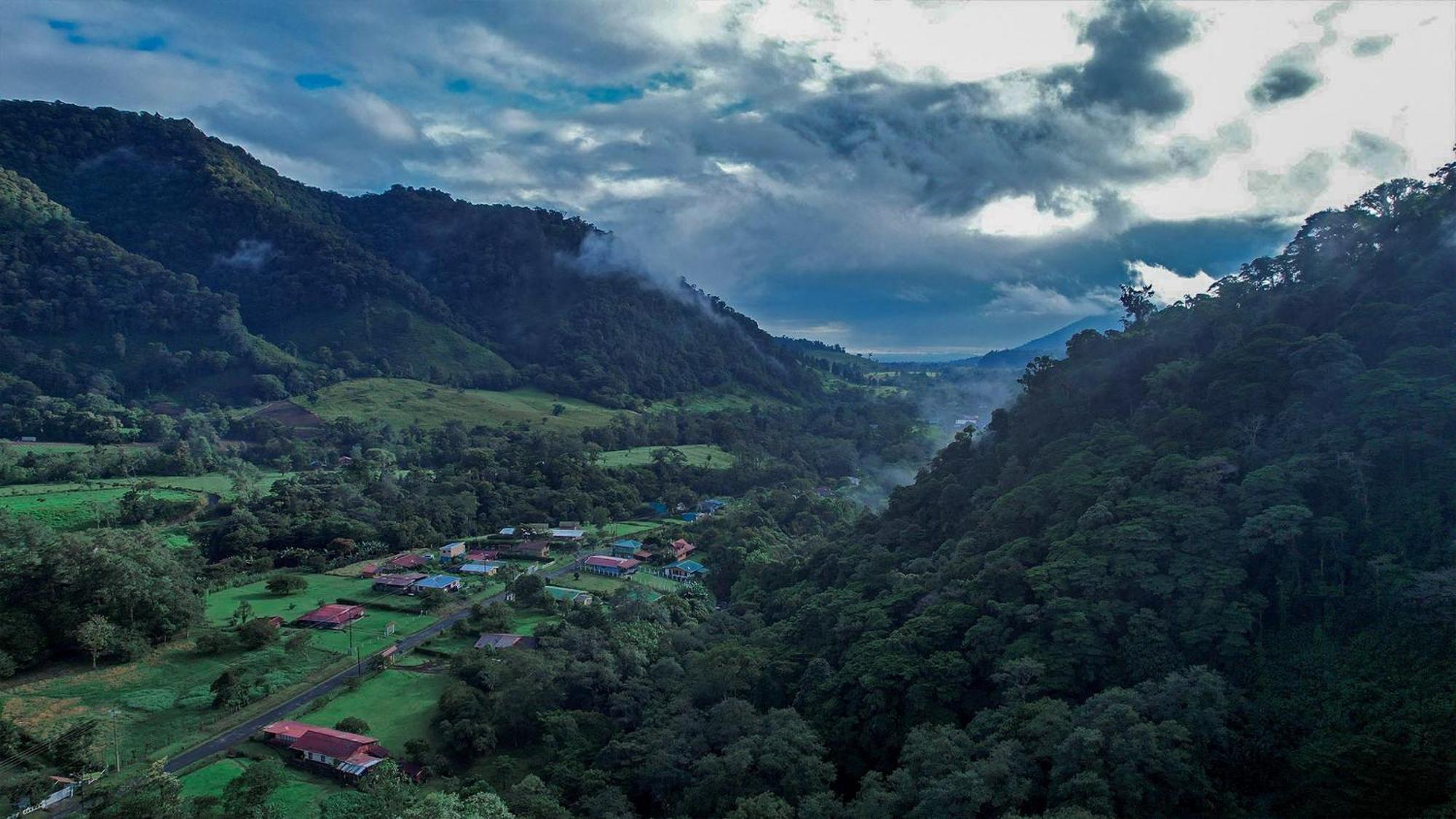 Toro Amarillo El Silencio Lodge & Spa Costa Rica מראה חיצוני תמונה